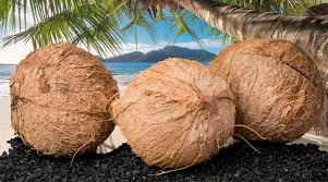 Activated Coconut Carbon Granular